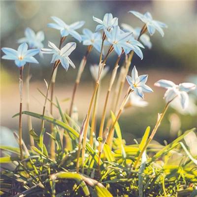 南宫28ng娱乐手机app下载